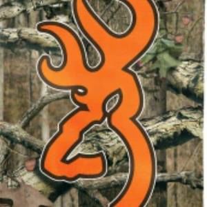 Meet your Posher, Leonard